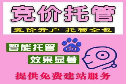 竞价排名案例：提升品牌知名度